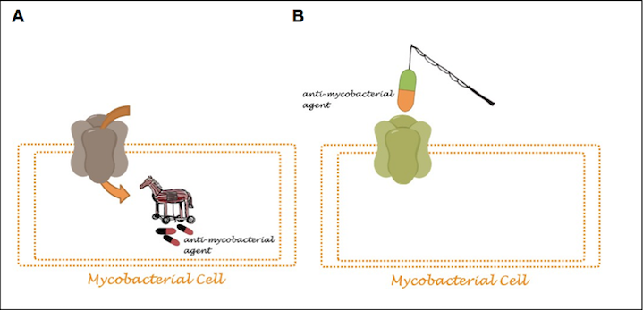 JT_Figure1