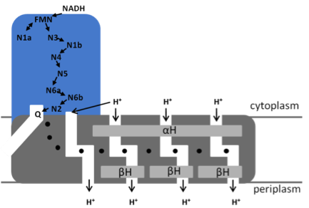 p5_figure2