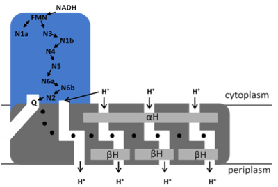 p5_figure2