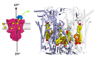 p7 figure combined