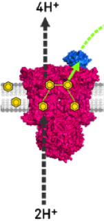 P7 figure 1