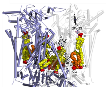 p7 figure 2