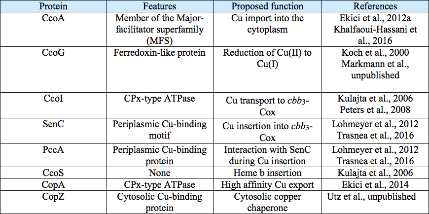 P8_table1