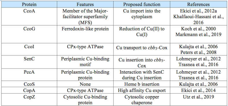 table_p8